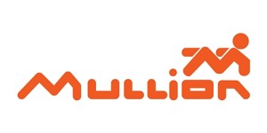 Mullion