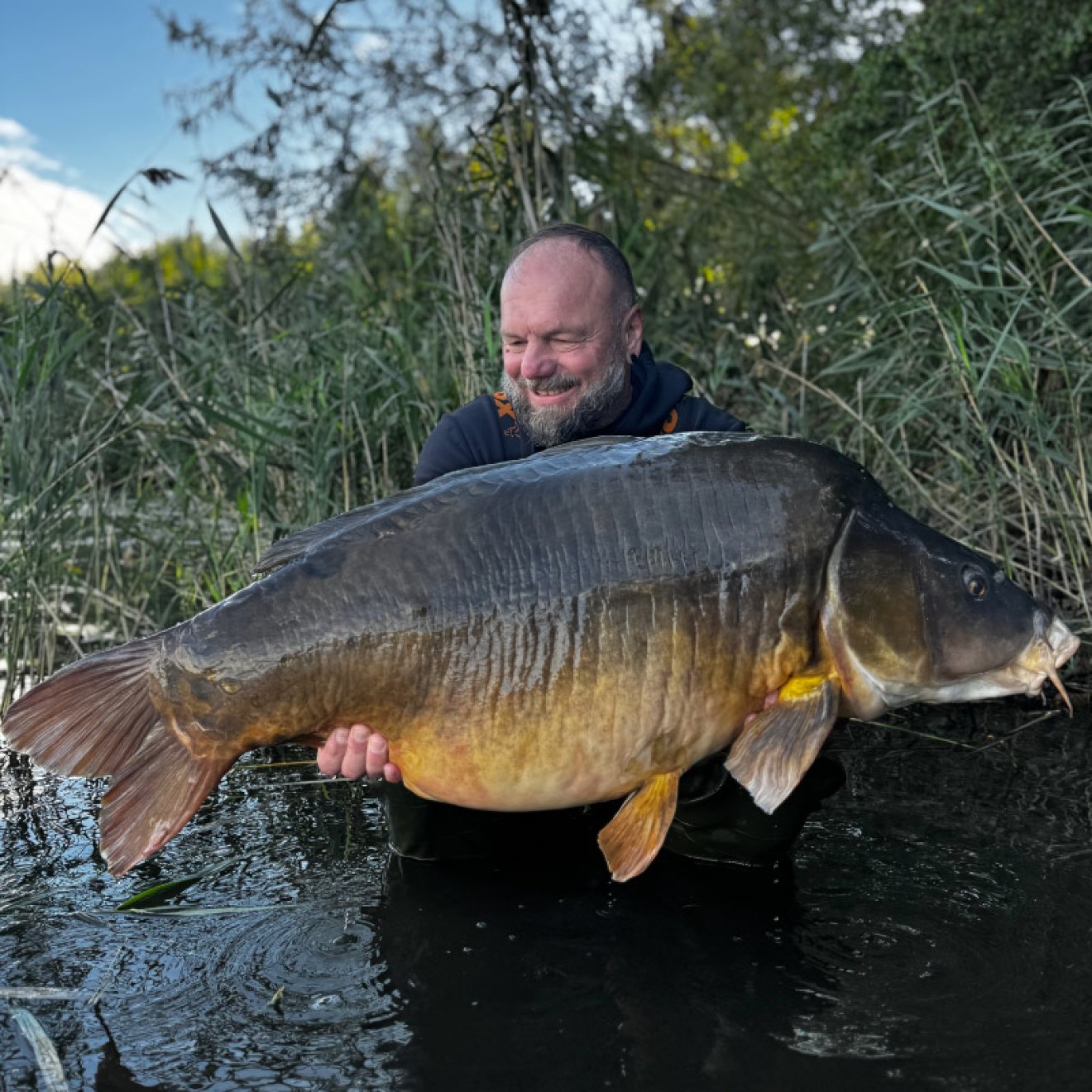 EuroCarp - Scrab Boilies 1kg
