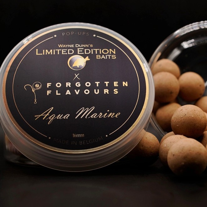 Forgotten Flavours - Wayne Dunn`s LTD Edition Pop Ups Aqua Marine 16mm