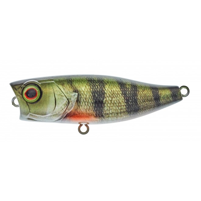 Illex - Chubby Popper 42 RT Perch