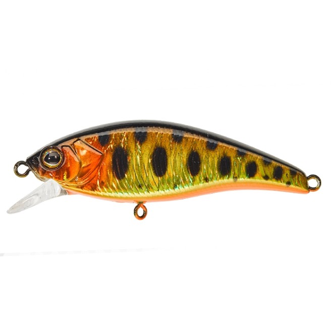 Illex - Flat Tricoroll 55 S HL Gold Trout