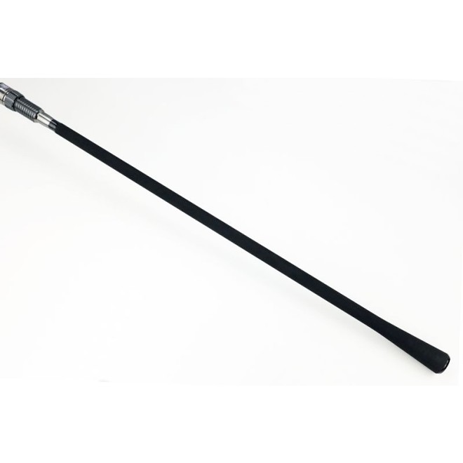 SPORTEX - Graphenon CS-2 Carp