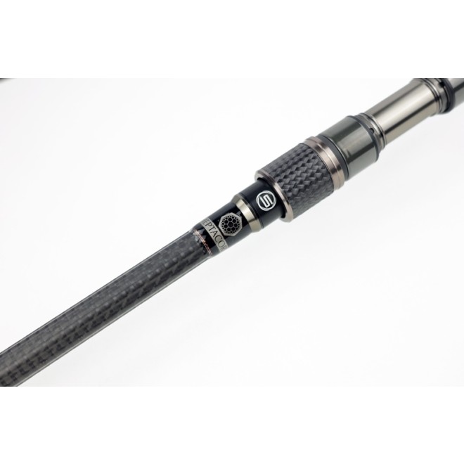 Sportex - Beyond Carp CS-2 13ft 3,75lb
