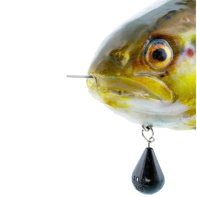 Westin - Tommy The Trout Inline Real Rainbow Trout 20cm
