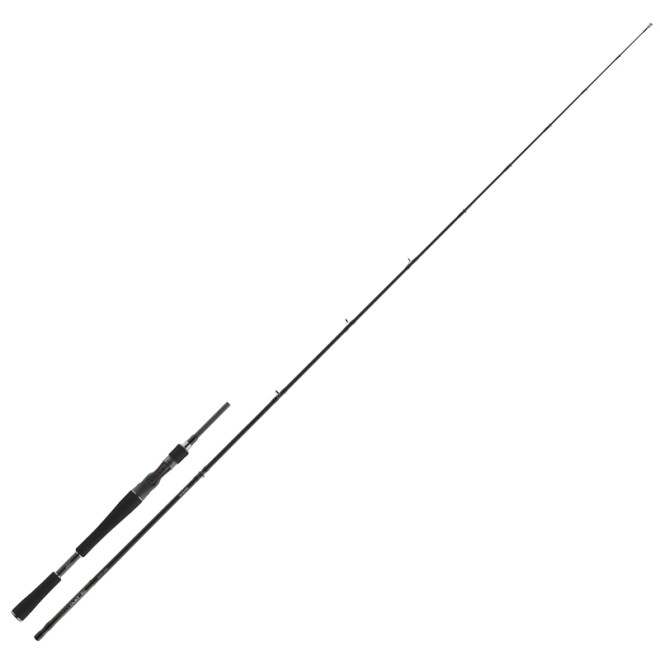 DAIWA - Pro Staff Pelagic BC 2,00m WG 30-80g