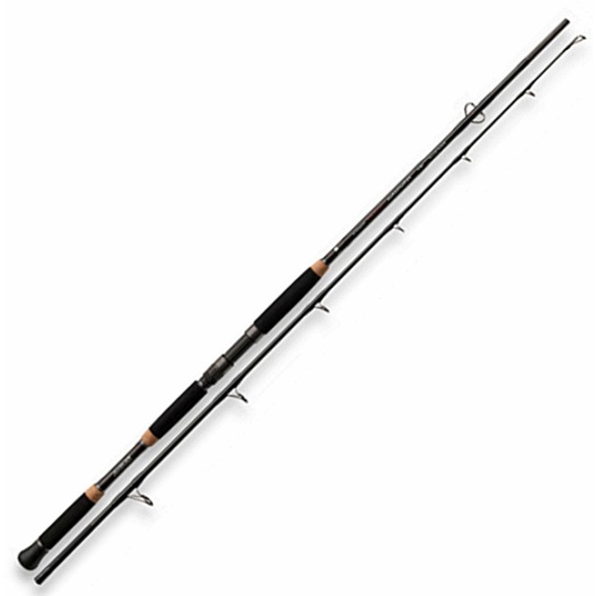 DAIWA - Team DAIWA Mode 2.0 Catfish 2,80m WG 150-300g