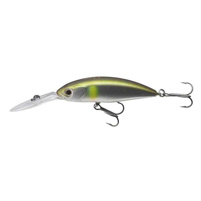 DAIWA - TN Spike 53SP Matt Ayu