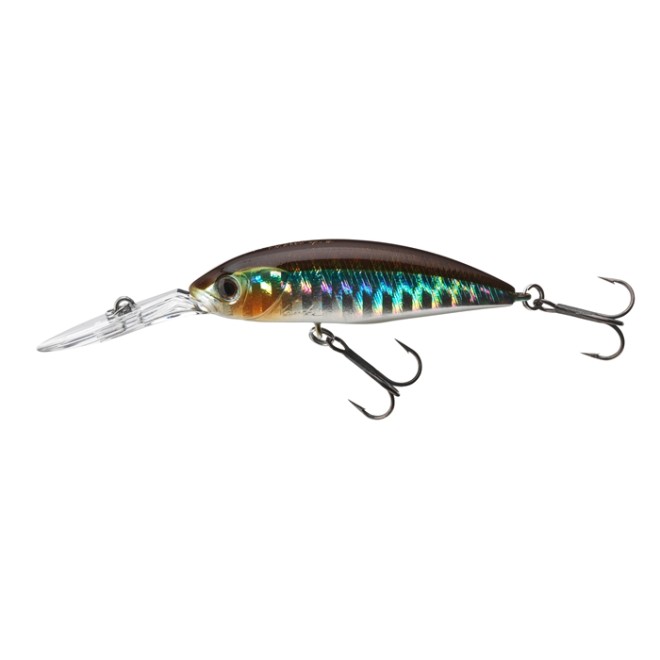 DAIWA - TN Spike 53SP Kibinago