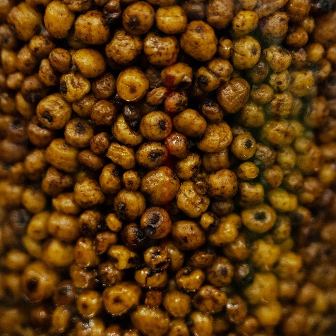 EuroCarp - Prepared Particles Tigernuts 3 Liter