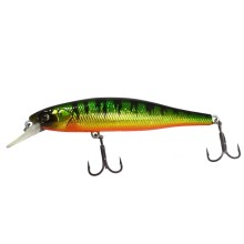 Owner - CT Minnow 55F Perch