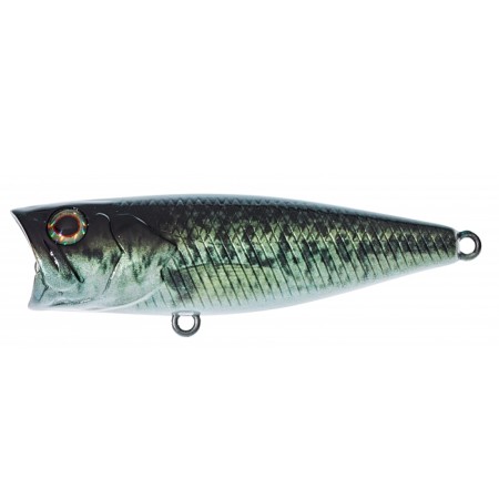 Illex - SK Pop Grande 65 RT Biwako Bass
