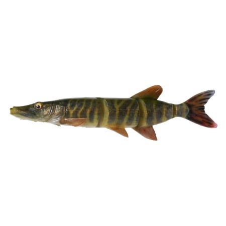 Savage Gear - 4D LT Pike 25cm SS
