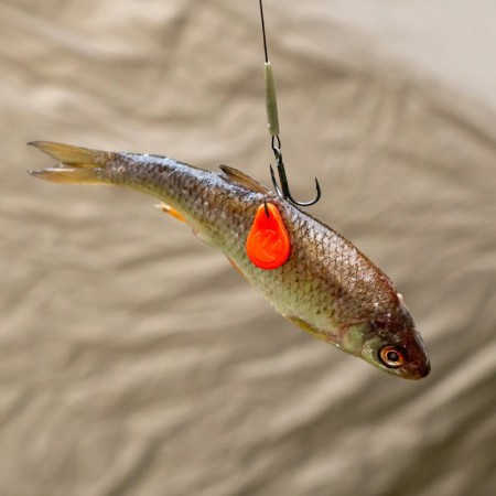 Zeck Fishing - Treble Rig Size 4