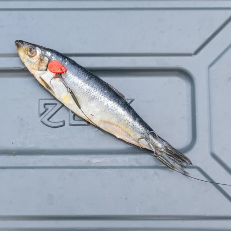 Zeck Fishing - Twin Treble Rig Size 4
