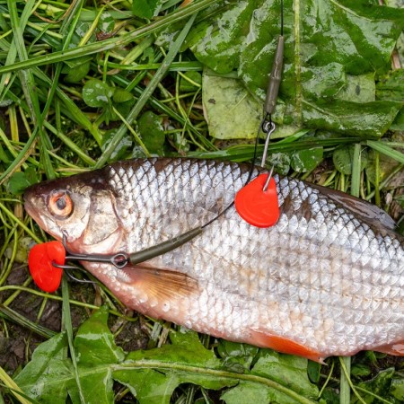 ZECK FISHING - Single Hook