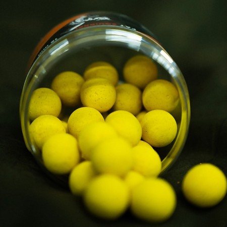 EuroCarp - FAT Squirrel Pop Ups 15mm